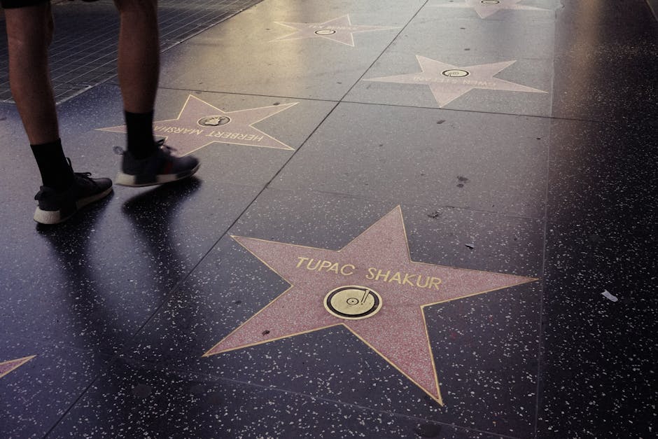 Photo of Hollywood Walk of Fame stars including famous names on a sidewalk